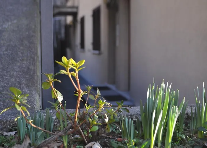 Fortunella Appartement